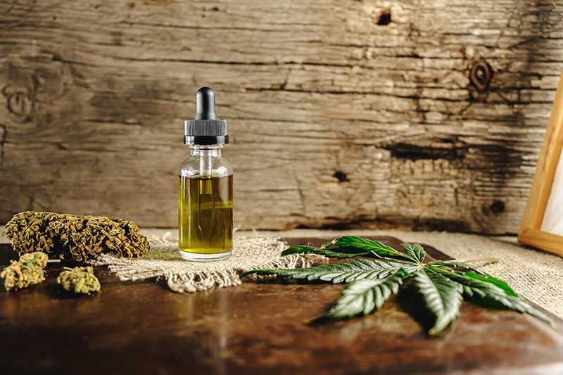 cannabis cbd vs hemp cbd