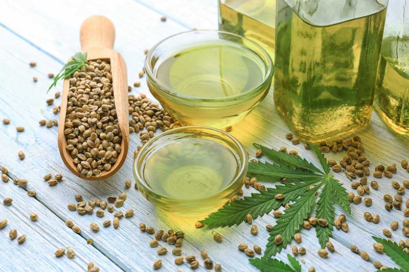 cannabis vs hemp oil - Composition with hemp oil in bowls on table